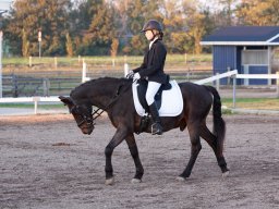 IMG_8116_web
